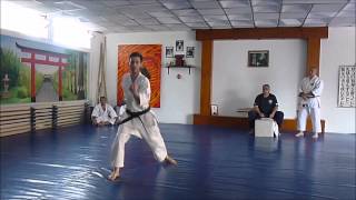 Ex 2do Dan Shotokan SKIF Argentina  Bernardo Taverna [upl. by Alano]