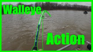 Maumee River Walleye Run WALLEYE FISHING [upl. by Aldredge]