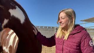 Meeting a Horse For the First Time [upl. by Elin984]