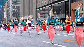 TOKYO 51st Nihonbashi Kyobashi Festival Oedo Kakki Parade 2024  Japan 4K HDR [upl. by Raman481]