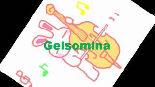 道～Gelsomina [upl. by Klement474]