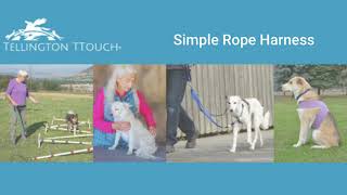 TTouch Quick Tip Simple Rope Harness for Dogs [upl. by Arytal]