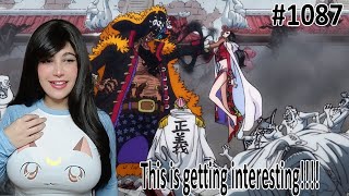 THE WAR ON THE ISLAND OF WOMEN KOBY VS KUROHIGE VS BOA HANCOCK ONE PIECE EPISODE 1087 REACTION [upl. by Ybrek218]