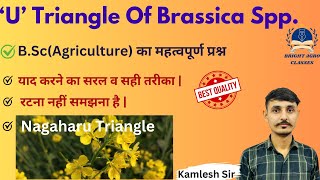 U Traiangle Of Brassica Spp  bscagricultureclasses brightagroclasses agriculture [upl. by Aubree]