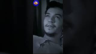 piojito piojito 💥💥💥 JAJAJAJAJA 🔥🔥🔥 CANTINFLAS HAY NOO❤️ humor cantinflas movie [upl. by Acinoed]