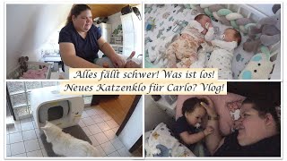 Alles fällt schwer Luca kuschelt Furbulous Box  Reborn Baby Deutsch  Little Reborn Nursery [upl. by Munroe698]