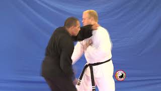 Kempo Karate  Combination 18 [upl. by Demahom]