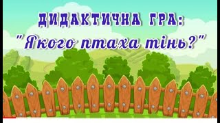 Дидактична гра quotЯкого птаха тіньquot свійські атвхи [upl. by Pietrek973]