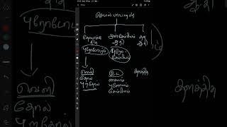 3 types of meristem in Tamil [upl. by Einittirb]