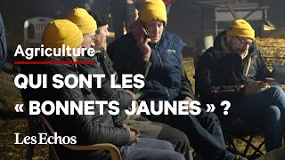 Pourquoi commenceton à surnommer les agriculteurs en colère les « bonnets jaunes » [upl. by Amle]