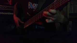 Wynonas big brown beaver Bass cover [upl. by Sonitnatsok]