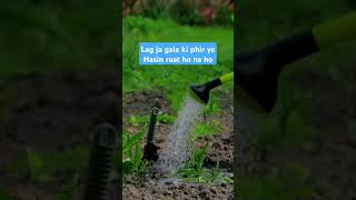 Lag Ja Gale  Full Song Lyrics  Lata Mangeshkar  Evergreen song LagJaGale LataMangeshkar [upl. by Nujra]