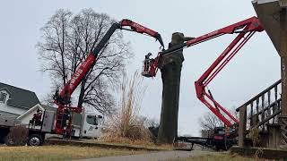 NEW Fassi 600 grapplesaw crane 3rd largest pin oak in Nebraska [upl. by Juditha544]