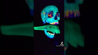 cest grave le song dhalloween squelette halloween [upl. by Engapmahc]