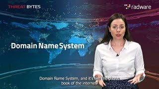 DNS Attacks Explained How to Secure Your Network From DNS Threats  Radware Threat Bytes Episode 11 [upl. by Ahsimal]