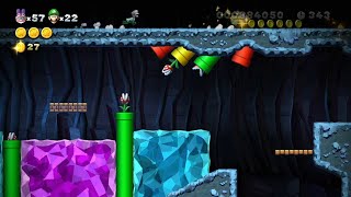 New Super Mario Bros U Deluxe Acorn Plains  Unlock Secret Level Star Coins [upl. by Nivac474]