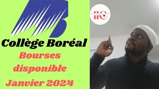 ADMISSION AU COLLÈGE BORÉAL AVEC BOURSES D’ÉTUDE  JANVIER 2024 [upl. by Xylia]