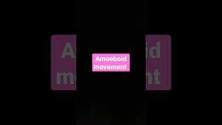 Amoeboid movement [upl. by Elyagiba]