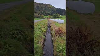 Driving around Nordfjordeid norway norwaynature [upl. by Naruq]