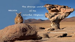 Bolivia  The strange world of the colorful Altiplano [upl. by Euphemie]