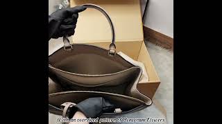 LOUIS VUITTON Petit Palais Bag  Blending Elegance and Elegance [upl. by Li659]