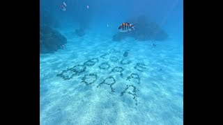 Honeymoon in Paradise 22 Sailingtrip to Bora Bora [upl. by Aleac]