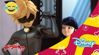 Los videos secretos de Ladybug  Un gato con muchas vidas  Disney Channel Oficial [upl. by Welles]