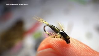 Tying a Small Olive Nymph with Davie McPhail [upl. by Ahseinod786]