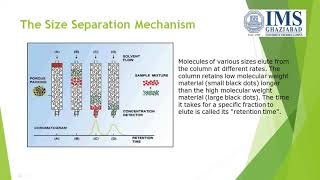 Gel Permeation Chromatography [upl. by Stoll372]