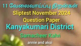 11th Employability Skills tamil medium Slip test question paper november 2024 kanyakumari district [upl. by Acinorehs]