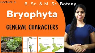 Bryophyta  General characters  in Hindi  Botany  B Sc amp M Sc [upl. by Haem]