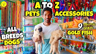 9 ரூபாய் முதல் gold fish  A to Z all breed dogs  All fish aquarium accessories available [upl. by Layney]