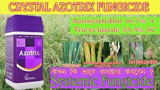 AZOTRIX  এবার আপনার ধান কে সকল রকম রোগের হাত থেকে রক্ষা করুন।crystal Azotrix fungicide [upl. by Oirretno935]