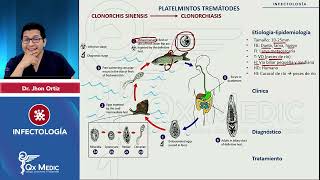 Parásitos Platelmintos Tremátodes Fasciola Schistosoma Clonorchis Paragonimus mp4 [upl. by Chancey]