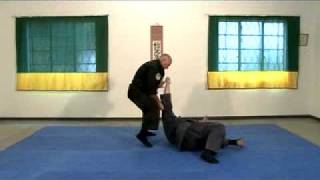 Genbukan Ninpo  South Africa  TaiJutsu demonstration [upl. by Nerraj702]