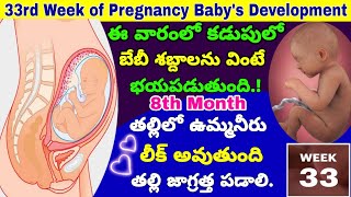 గర్భం 33వ వారం  33rd Week of Pregnancy Symptoms Changes amp Baby Development  33rd Week of Pregnancy [upl. by Sion]