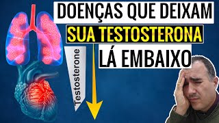 Doenças que diminuem seus NÍVEIS DE TESTOSTERONA [upl. by Anaher]