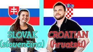 Similarities Between Slovak and Croatian [upl. by Nosydam589]