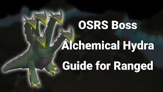 OSRS Boss  Alchemical Hydra Ranged Guide for Starters [upl. by Opiak]