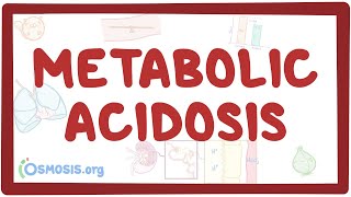 Metabolic acidosis  causes symptoms diagnosis treatment pathology [upl. by Yecaj]