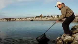 Fishing with Rod Fall Vancouver Bull Trout [upl. by Dalis224]