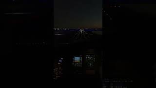 Flightsim KLGA RW22 Night Landingmicrosoftflightsimulator flightsimulator gaming [upl. by Divine958]