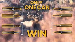 Ten Greatest Elk Cartridges Voted By You [upl. by Dlnaod]