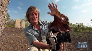 Austin Stevens  Snakemaster  In Search of the Giant Lizard [upl. by Anyal]