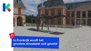 Grootste dinoskelet ooit te koop [upl. by Qifahs]