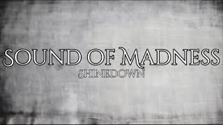 Shinedown  Sound of Madness Lyric Video [upl. by Allegna340]