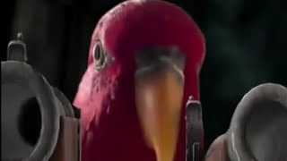 Pirates of the Caribbean red bird meme shorts [upl. by Chrissy]