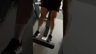 Mastering Seated Calf Raises Complete Guide and Techniques [upl. by Sinnaiy]