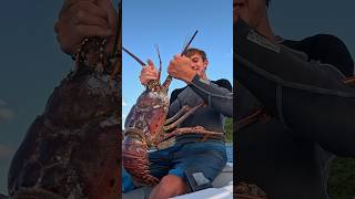 Unusually Big Lobster  🦞 fishing shorts [upl. by Brantley]