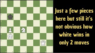 Checkmate in 2 moves for white [upl. by Eillime]